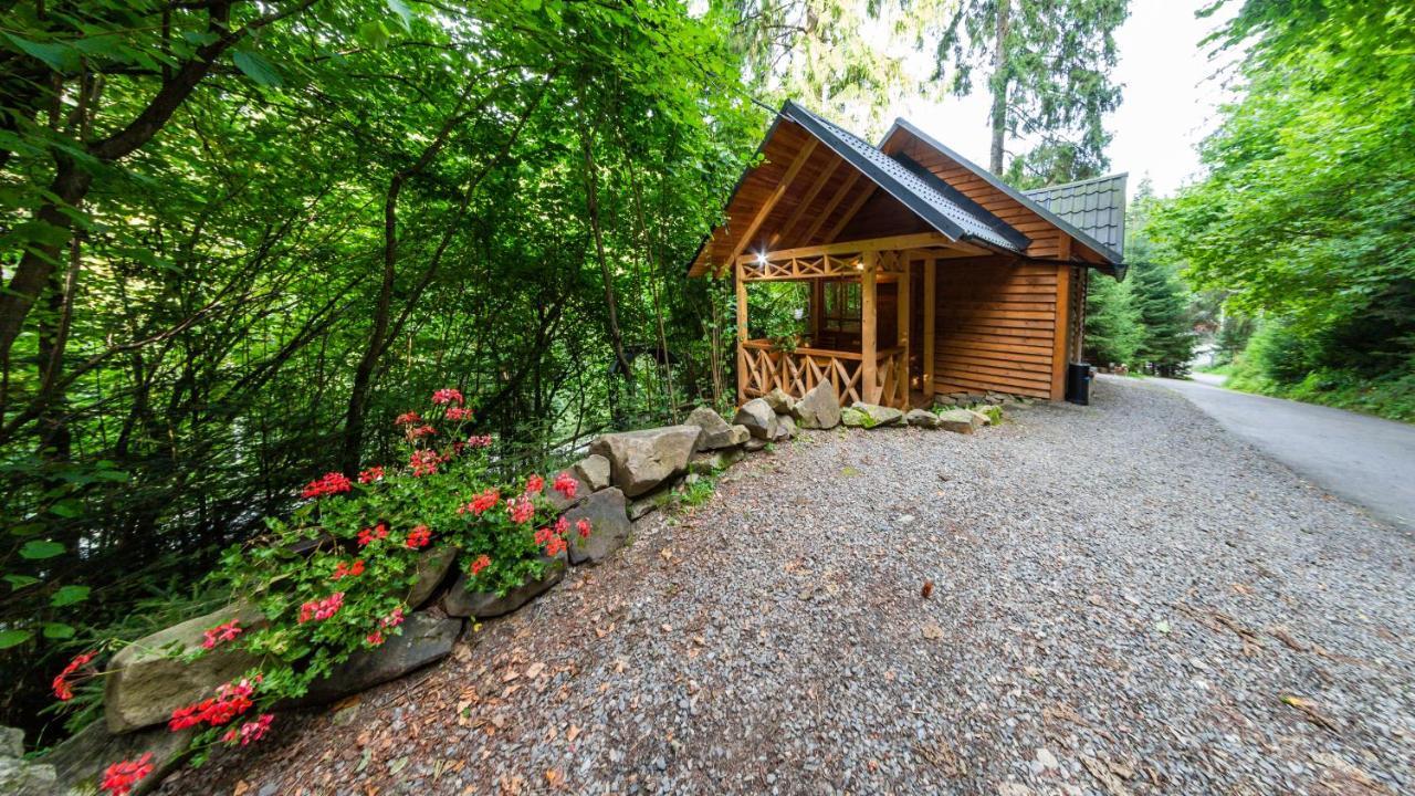 Karpatska Villa Mykulychyn Esterno foto